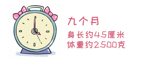 怀孕期间注意事项，胚胎最怕这些事