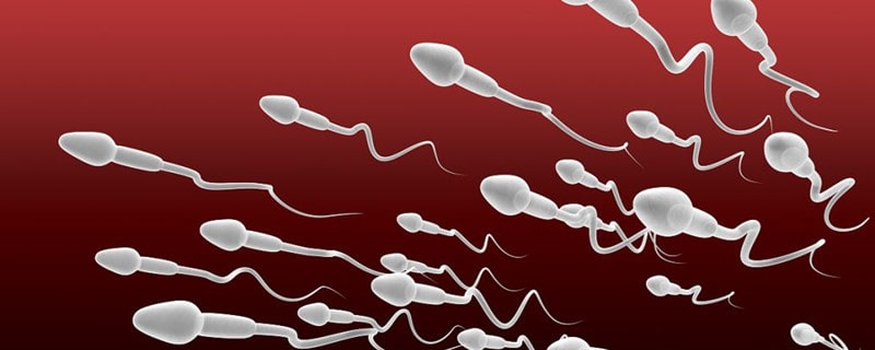 精子在女性体内存活时间