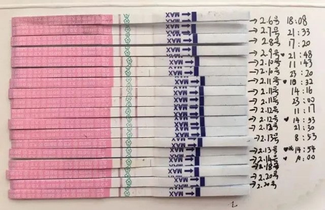 手把手教你测排卵试纸怎么用