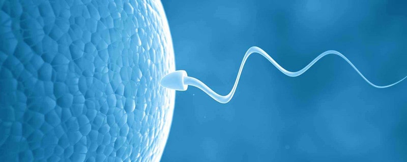 精子在女性体内存活时间