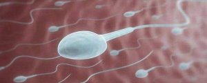 伤害男性精子的6个坏习惯