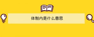 体制内是什么意思