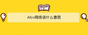 ddys网络语什么意思