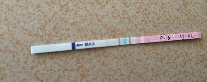 排卵试纸能测早孕吗