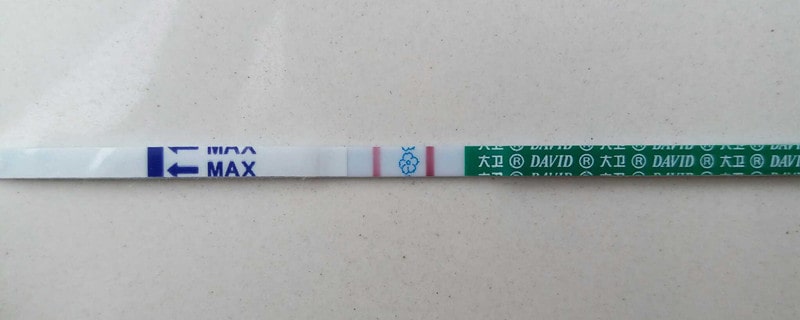 排卵试纸能测早孕吗