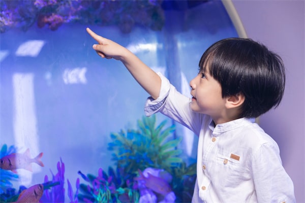 属虎五行缺木的男孩名字