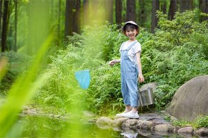 属虎五行缺木的男孩名字