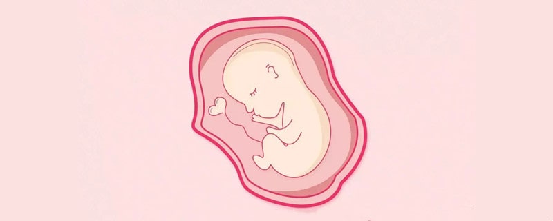 羊水过少的原因