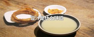 豆汁什么味道