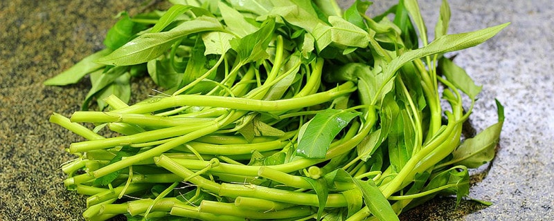 孕妇能吃空心菜吗