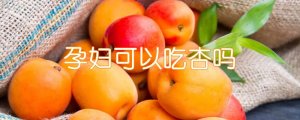 孕妇可以吃杏吗