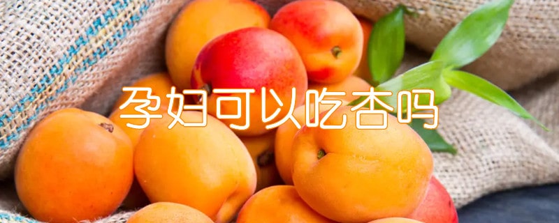 孕妇可以吃杏吗