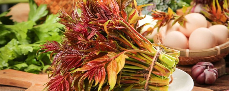 香椿含有致癌物已确定？