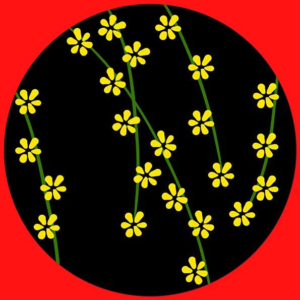 儿童画春天的图片《迎春花》