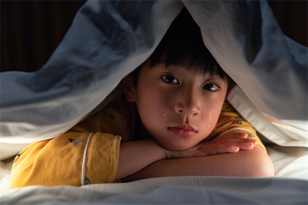 属虎五行缺木的男孩名字