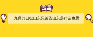 九月九日忆山东兄弟的山东是什么意思
