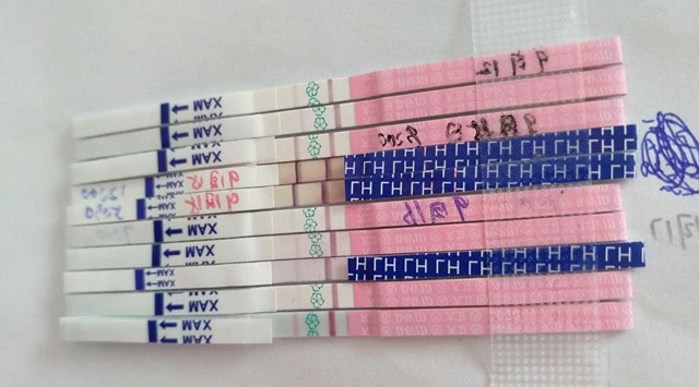 排卵试纸多少钱