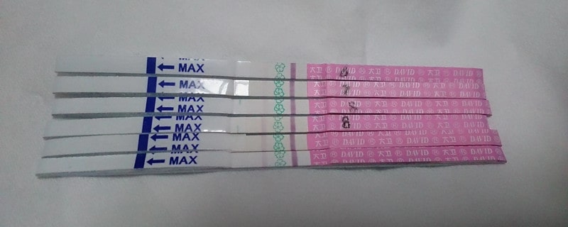 排卵试纸多少钱