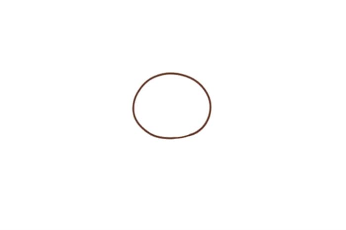 吃胡萝卜的可爱小兔子简笔画怎么画