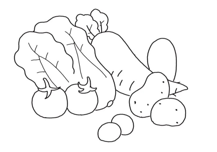 蔬菜简笔画图片带颜色