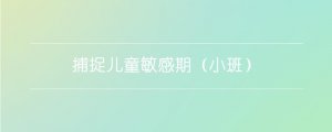 捕捉儿童敏感期（小班）