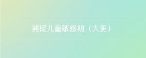 捕捉儿童敏感期（大班）