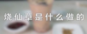 烧仙草是什么做的