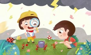 观察作文怎么写?