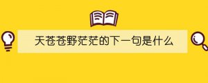 天苍苍野茫茫的下一句是什么