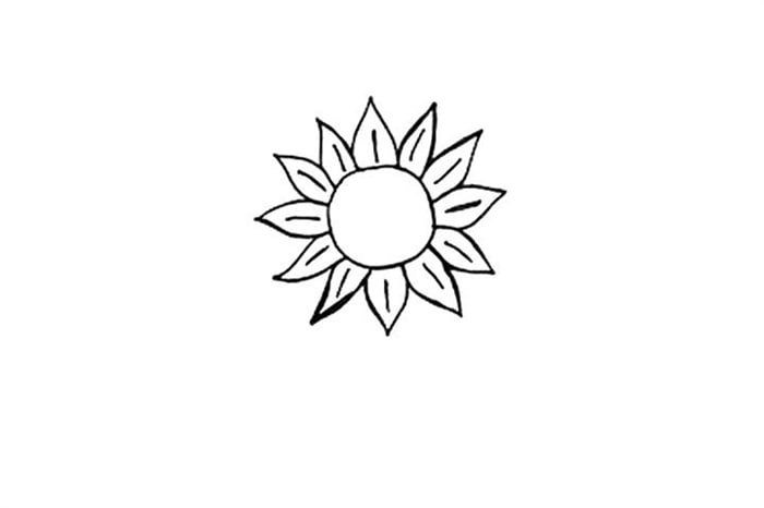 向日葵图片简笔画画法图解