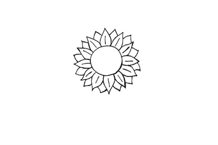 向日葵图片简笔画画法图解