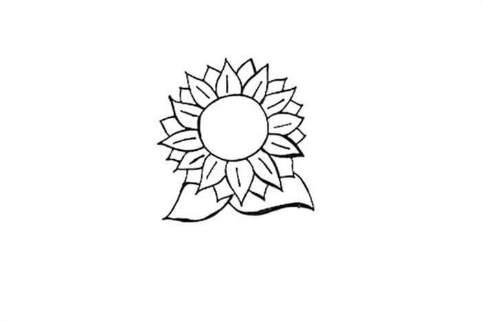 向日葵图片简笔画画法图解