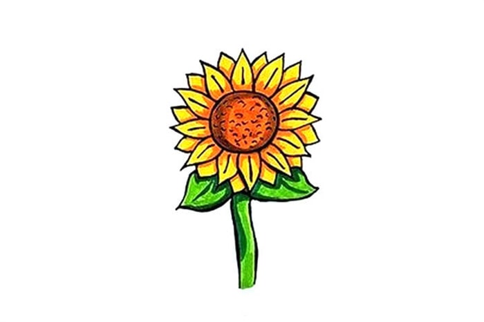 向日葵图片简笔画画法图解