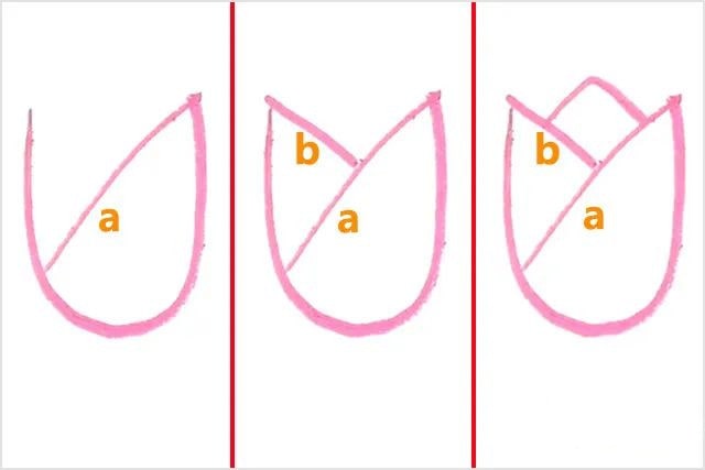 母亲节郁金香图片简笔画