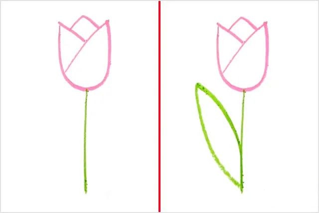 母亲节郁金香图片简笔画