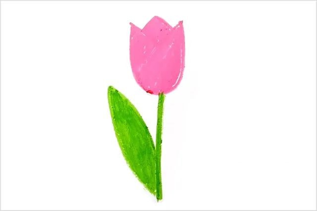 母亲节郁金香图片简笔画