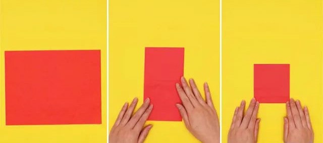 幼儿园母亲节手工制作立体郁金香