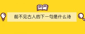前不见古人的下一句是什么诗