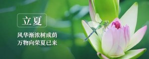 立夏的古诗