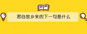 君自故乡来的下一句是什么