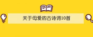 关于母爱的古诗词10首