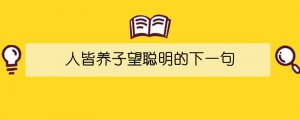 人皆养子望聪明的下一句