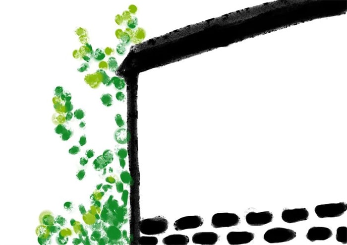 创意水粉画花作品《墙角花丛》