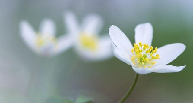 孕晚期见红和破水有先后区别吗？