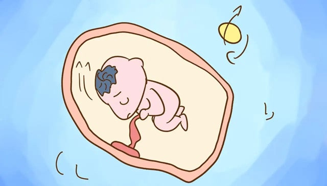 7个简单方法促进胎儿大脑发育