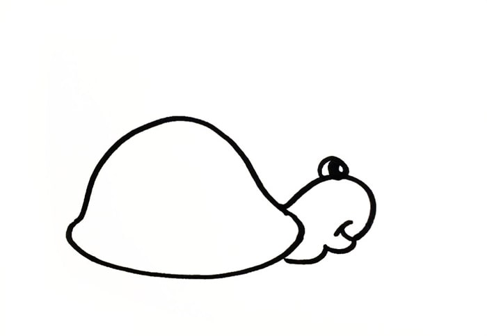 海滩边的小乌龟简笔画图片