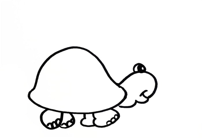海滩边的小乌龟简笔画图片