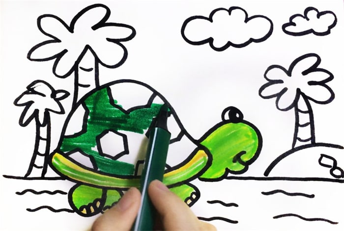 海滩边的小乌龟简笔画图片
