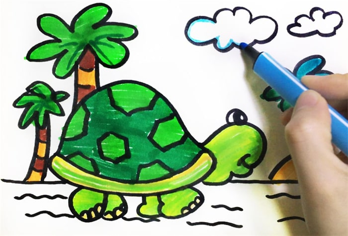 海滩边的小乌龟简笔画图片