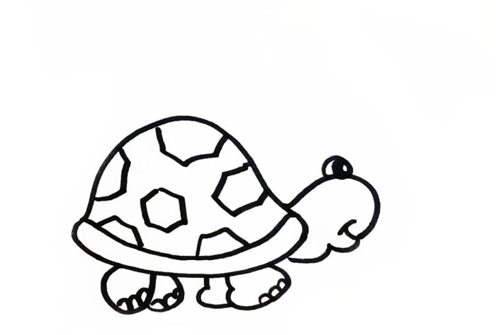 海滩边的小乌龟简笔画图片